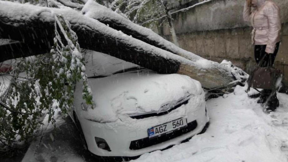 FOTO // Patru ani de la potopul din aprilie 2017. Oameni morți, mii de arbori rupți și distrugeri de milioane