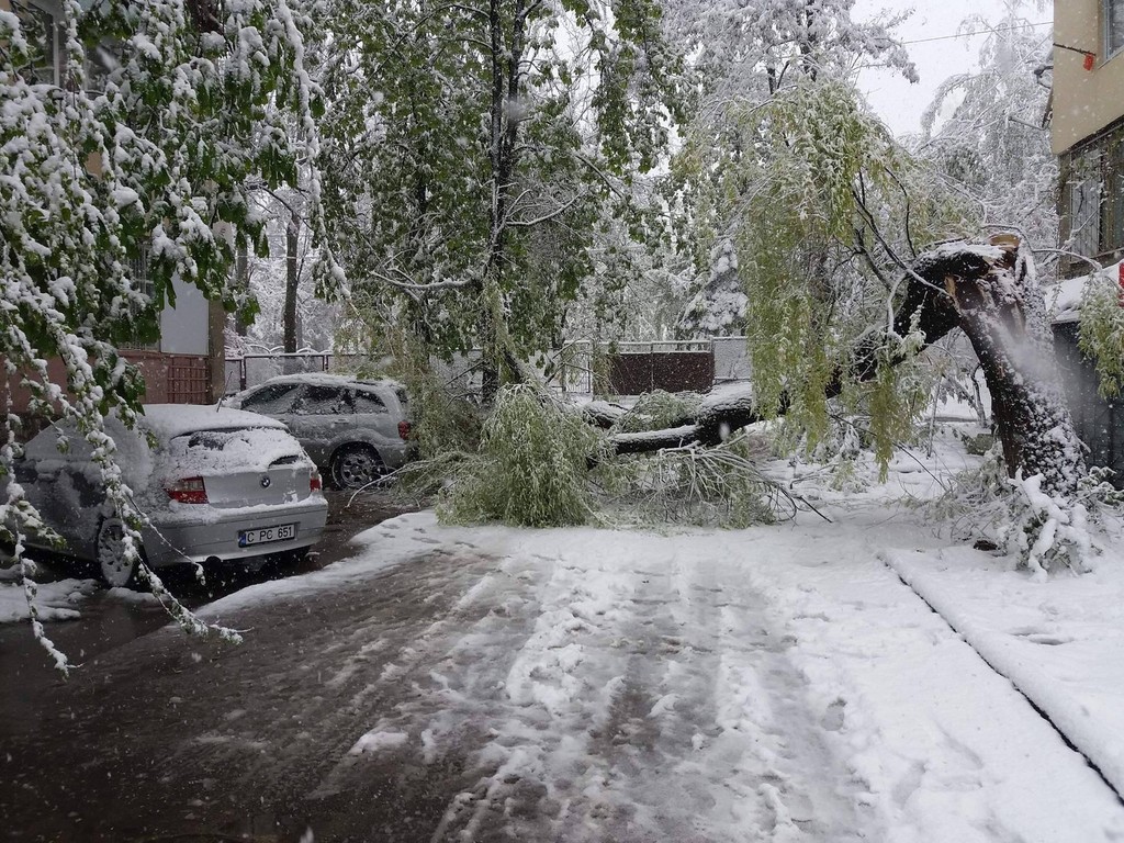 FOTO // Patru ani de la potopul din aprilie 2017. Oameni morți, mii de arbori rupți și distrugeri de milioane