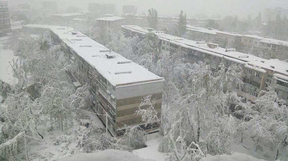 FOTO // Patru ani de la potopul din aprilie 2017. Oameni morți, mii de arbori rupți și distrugeri de milioane