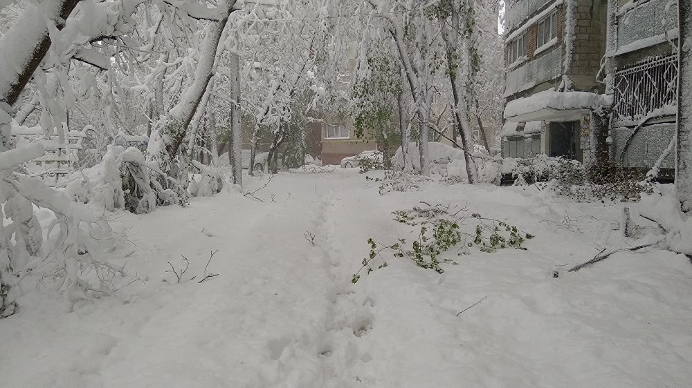 FOTO // Patru ani de la potopul din aprilie 2017. Oameni morți, mii de arbori rupți și distrugeri de milioane