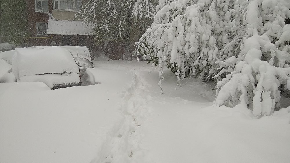 FOTO // Patru ani de la potopul din aprilie 2017. Oameni morți, mii de arbori rupți și distrugeri de milioane