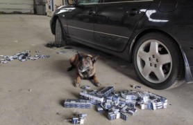 Câinele NERO a „mirosit” peste 8 mii de țigarete, ascunse într-un Mercedes