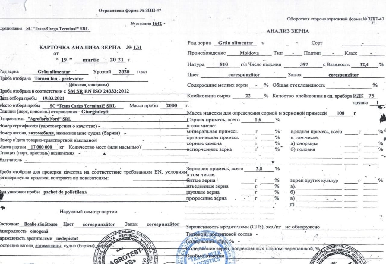 Alexandr Slusari: Exportul de grâu trebuie interzis urgent