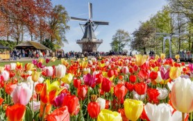 Olanda amână relaxarea restricțiilor până cel puțin pe 18 mai