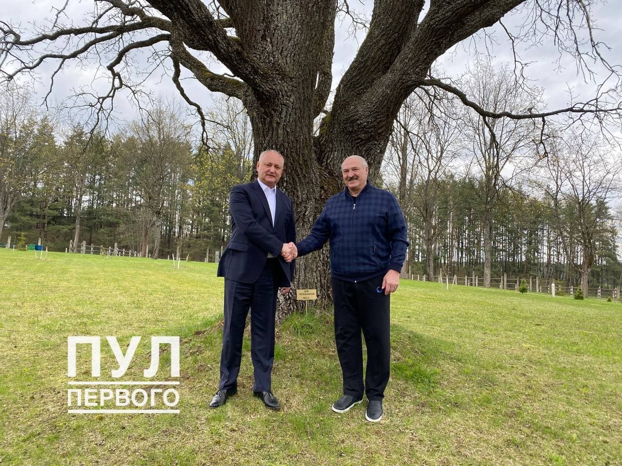 FOTO // Fără nici o funcție în stat, Igor Dodon a plecat în Belarus și discută cu dictatorul Lukașenko