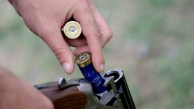 Un pădurar a fost împușcat în cap. Ar fi participat la o vânătoare neautorizată în Bihor, România