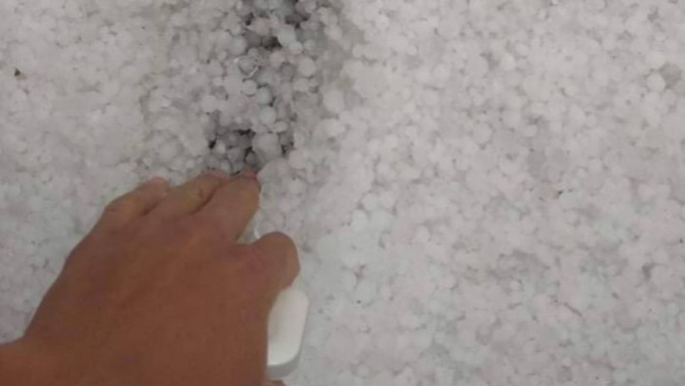 Grindina a făcut PRĂPĂD la Rezina. Practic toată recolta a fost distrusă
