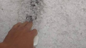 Grindina a făcut PRĂPĂD la Rezina. Practic toată recolta a fost distrusă