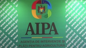 UPDATE: Nimeni din cadrul AIPA nu a fost reținut de CNA