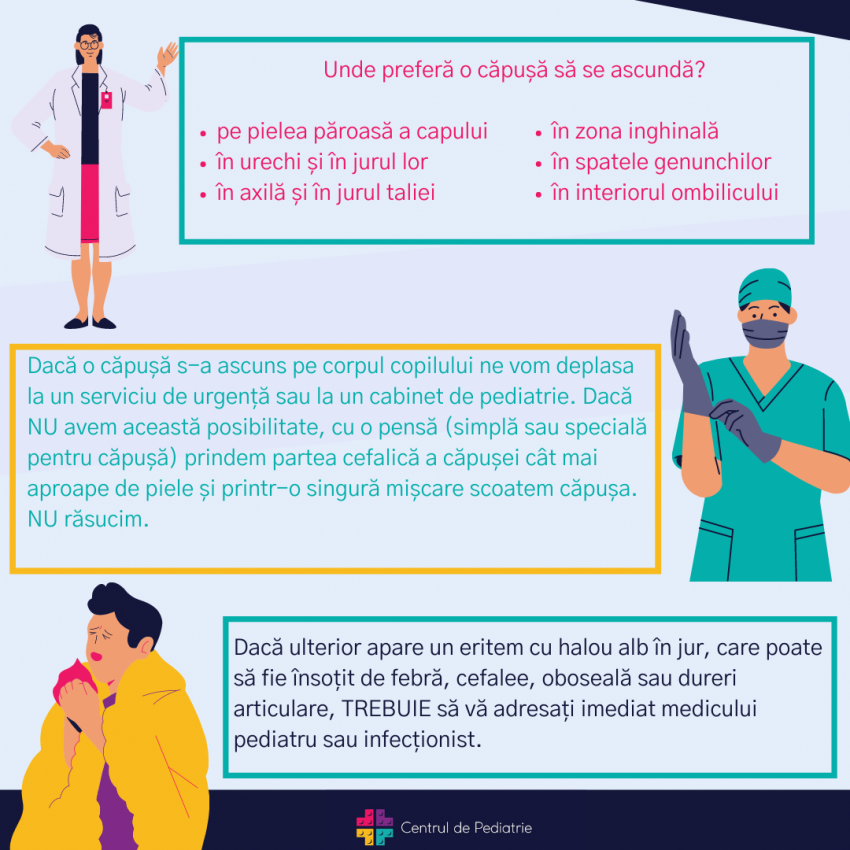 Căpușele, purtătoare de virusuri și bacterii foarte periculoase