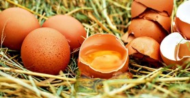 Cum îți dai seama dacă un ou este bun pentru consum. Trucul inedit prin care verifici dacă este stricat sau nu