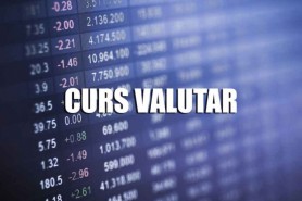 Leul moldovenesc își menține poziția în raport cu moneda unică europeană. Curs VALUTAR 5 iunie 2021
