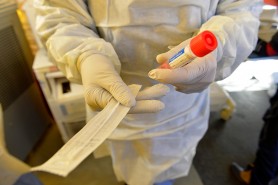 Breaking News // Încă 48 persoane au fost testate pozitiv cu COVID-19. Bilanțul a ajuns la 255 878