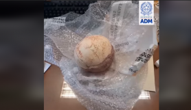 VIDEO // Autorităţile vamale din Italia au confiscat un ou de dinozaur. Unde era ascuns