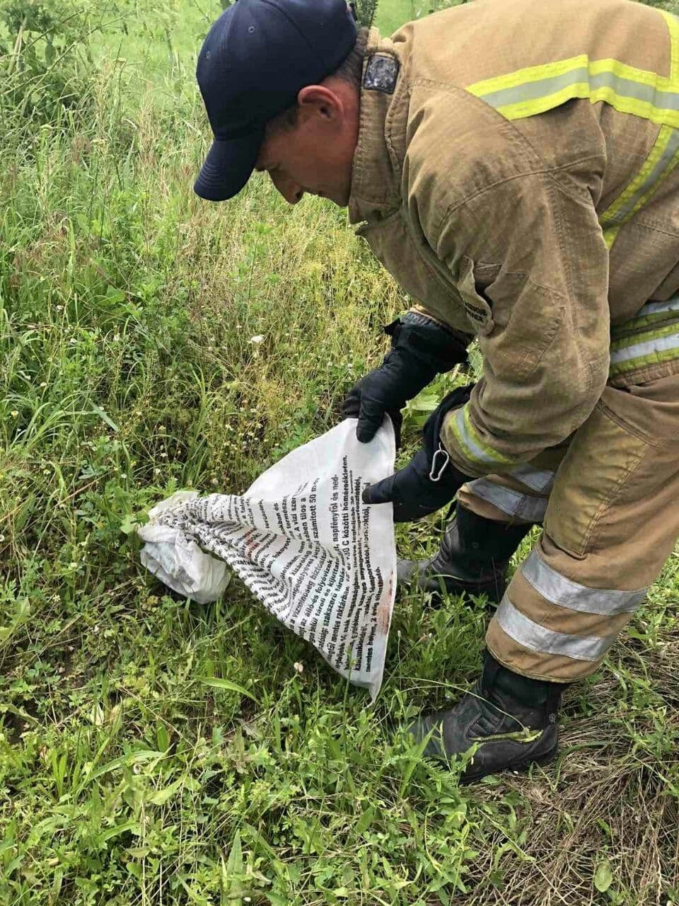 FOTO // Surpriză neplăcută pentru clienții unei frizerii din Căușeni. Un șarpe „păzea” intrarea