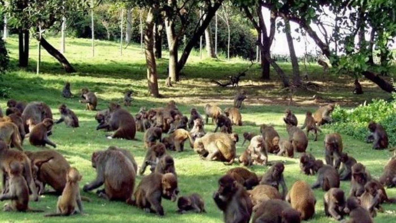 FOTO // 8 locuri interzise de pe planetă. Ce se petrece de fapt și de ce oamenii nu au voie sub nicio formă aici