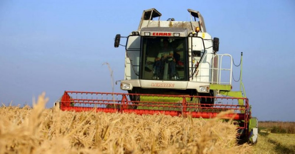 Semne BUNE anul are! Recoltă bogată de cereale după ce la nord a început secerișul