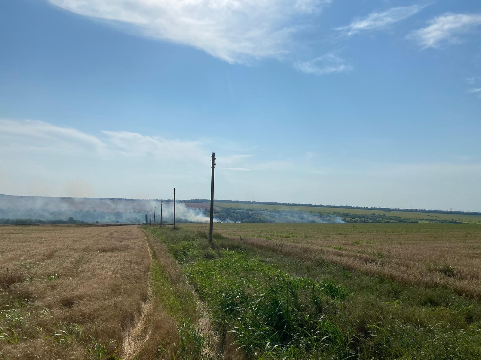 FOTO // Durere cumplită la Taraclia. 35 hectare de grâu au ars