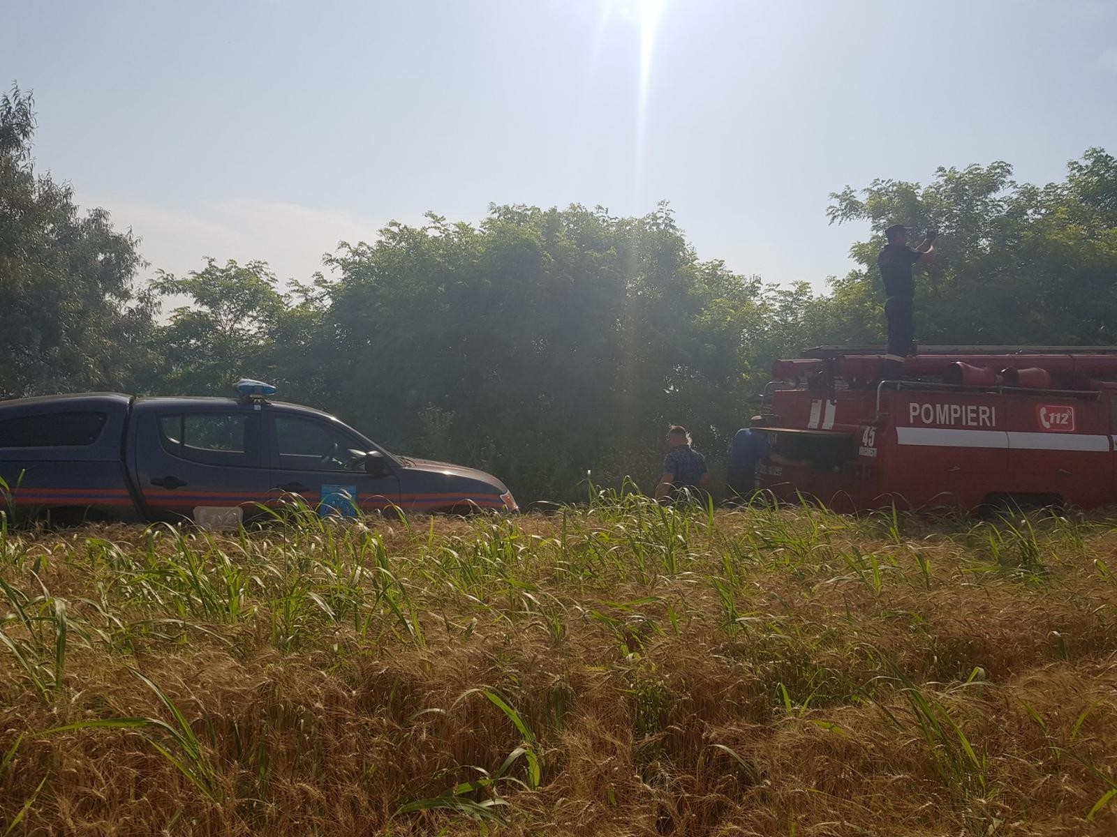 FOTO // Durere cumplită la Taraclia. 35 hectare de grâu au ars