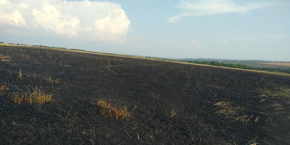 FOTO // Durere cumplită la Taraclia. 35 hectare de grâu au ars