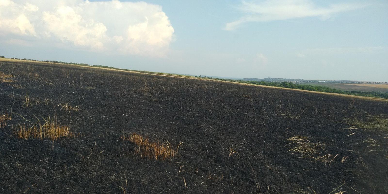 FOTO // Durere cumplită la Taraclia. 35 hectare de grâu au ars