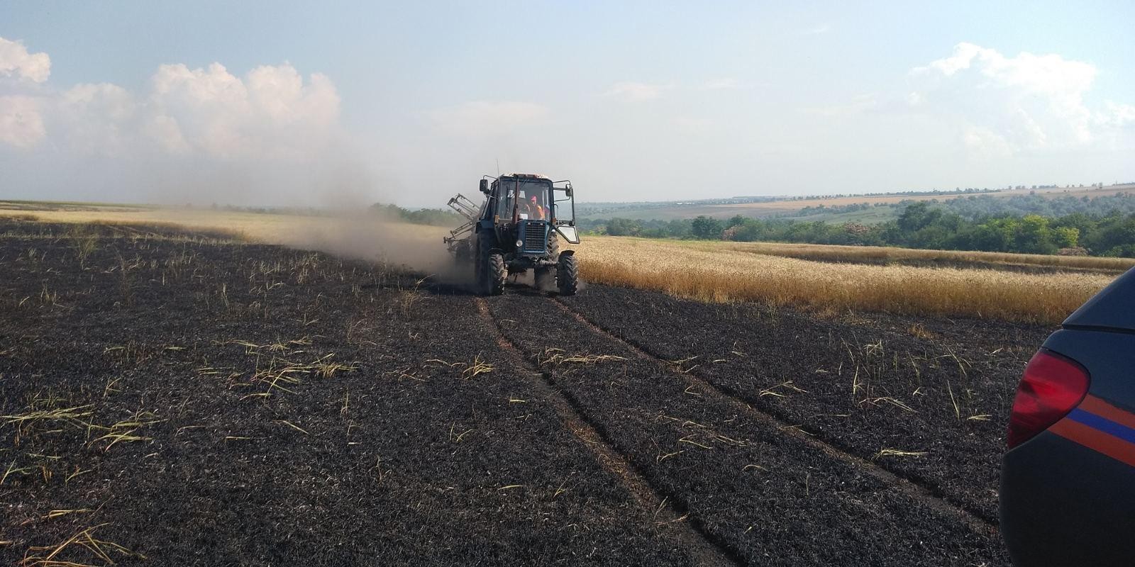 FOTO // Durere cumplită la Taraclia. 35 hectare de grâu au ars