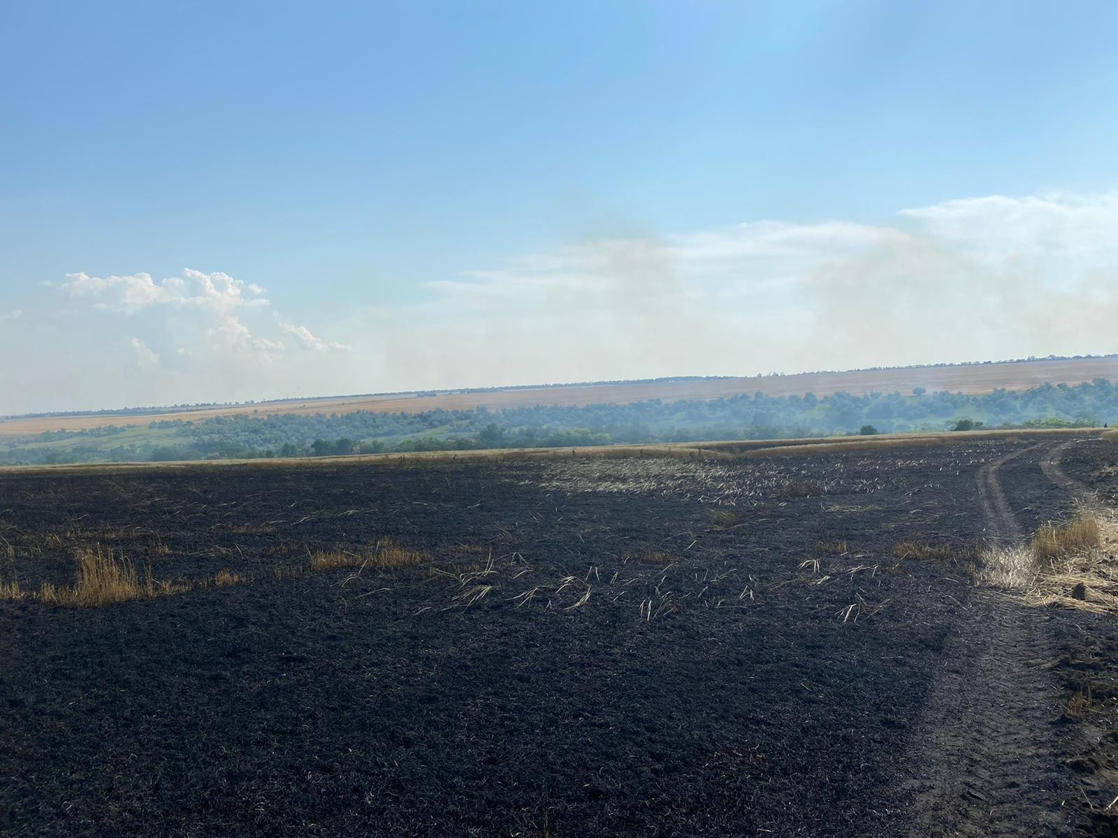 FOTO // Durere cumplită la Taraclia. 35 hectare de grâu au ars