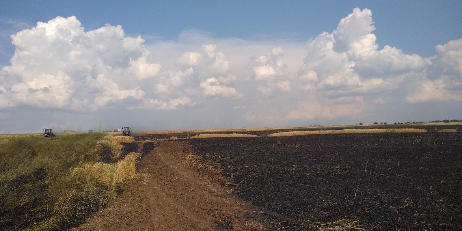 FOTO // Durere cumplită la Taraclia. 35 hectare de grâu au ars