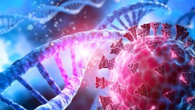 AVERTIZAREA OMS: Variante mai PERICULOASE de coronavirus s-ar putea răspândi