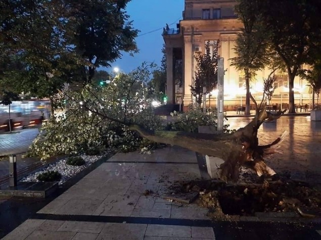 FOTO // Copaci smulși din rădăcini, mașini avariate grav, străzi inundate. Dezastrul provocat în Chișinău de furtuna de ieri seară
