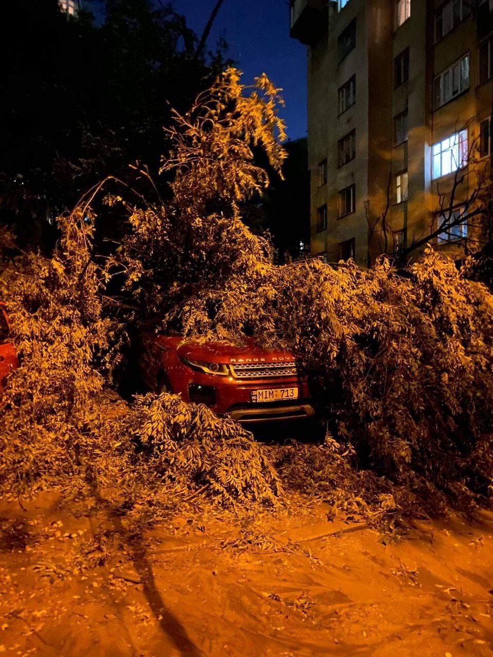 FOTO // Copaci smulși din rădăcini, mașini avariate grav, străzi inundate. Dezastrul provocat în Chișinău de furtuna de ieri seară
