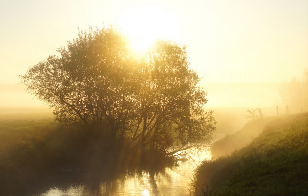 METEO: Sfârșit de săptămână rărcăros. Ce temperaturi vor fi în weekend