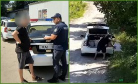 Poliția a identificat taximetristul care și-a aruncat sacii cu gunoi la marginea drumului. Ce riscă individul