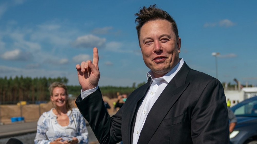 Porumbeii „amenință” rețeaua de internet prin satelit a lui Elon Musk