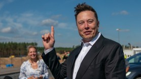 Porumbeii „amenință” rețeaua de internet prin satelit a lui Elon Musk