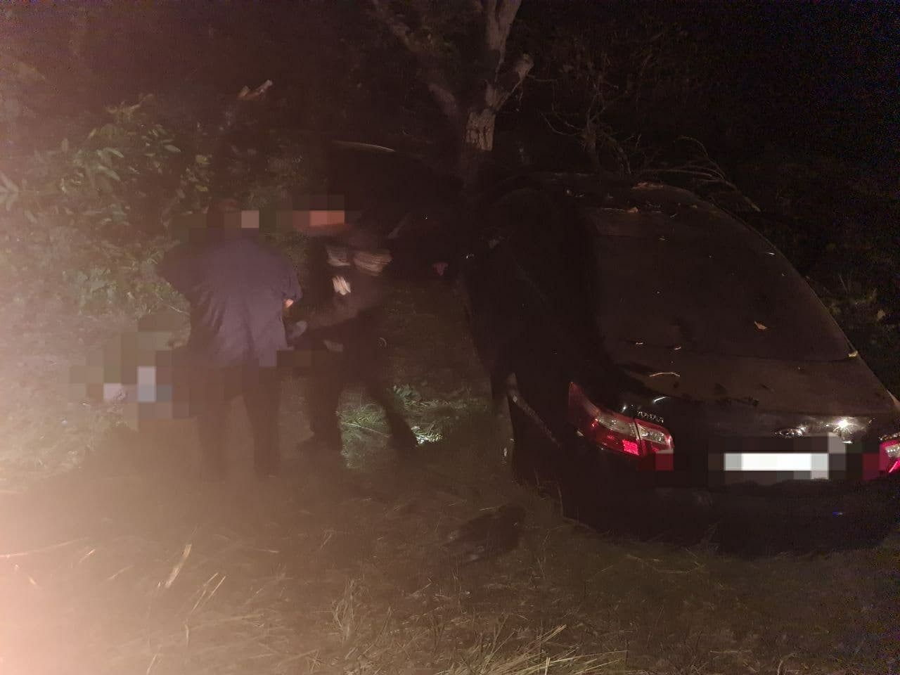 FOTO // Tragedie în sudul țării. Un bărbat a murit după ce s-a izbit cu mașina într-un copac