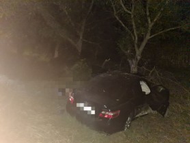 FOTO // Tragedie în sudul țării. Un bărbat a murit după ce s-a izbit cu mașina într-un copac