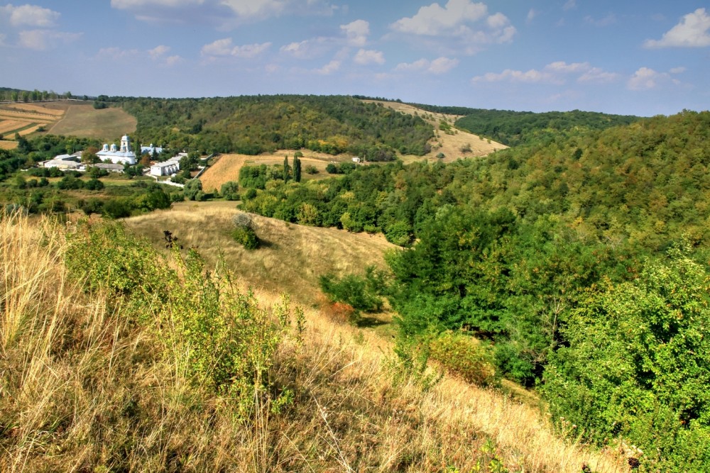 Descoperire macabră la Șoldănești. Cadavrul unui bărbat a fost găsit în stare de putrefacție într-o pădure