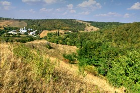Descoperire macabră la Șoldănești. Cadavrul unui bărbat a fost găsit în stare de putrefacție într-o pădure