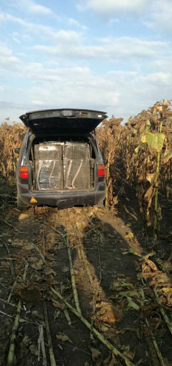 FOTO // A vrut să fugă cu 300 000 de țigări în portbagaj, dar a ajuns într-un lan de floarea soarelui