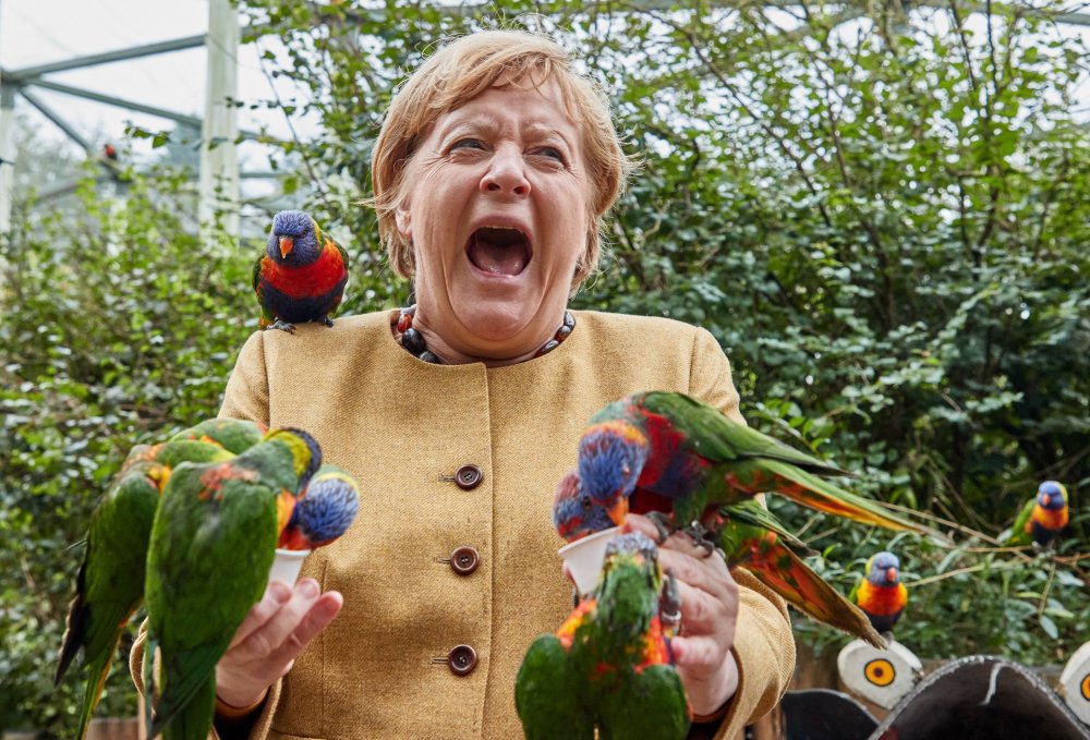 Imaginea zilei: Angela Merkel a vizitat parcul de păsări din Marlow