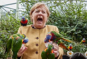 Imaginea zilei: Angela Merkel a vizitat parcul de păsări din Marlow