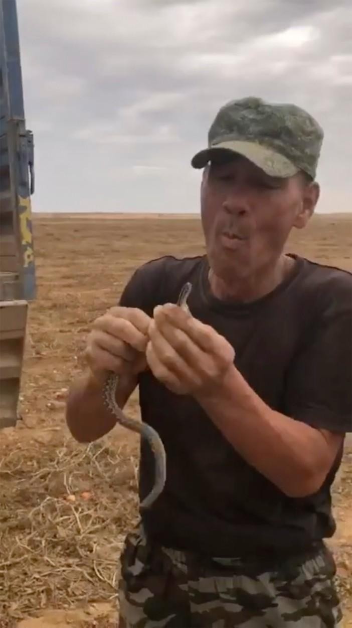FOTO +18 // Un fermier din Rusia a murit după ce a vrut să înghită o viperă de stepă