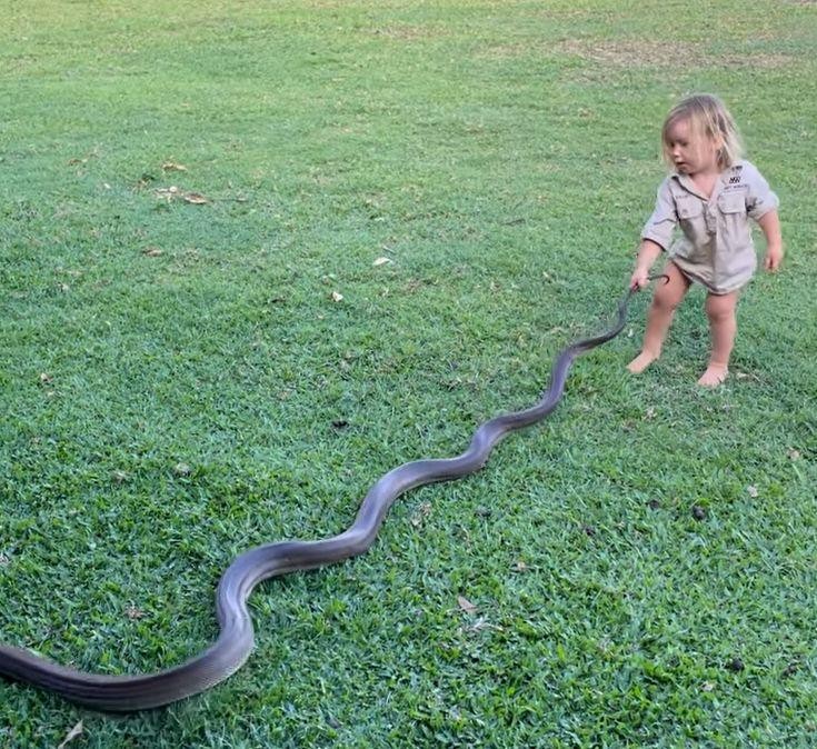 FOTO/VIDEO: Un copil de 2 ani a fost filmat în timp ce trăgea un piton de coadă, sub privirile tatălui