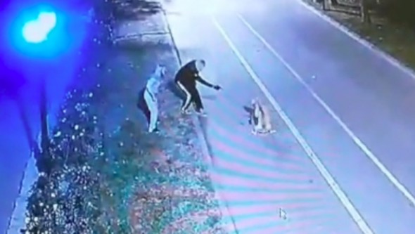 VIDEO 18+ // Momentul în care un bărbat împușcă un câine în Parcul „Valea Morilor” din Chișinău