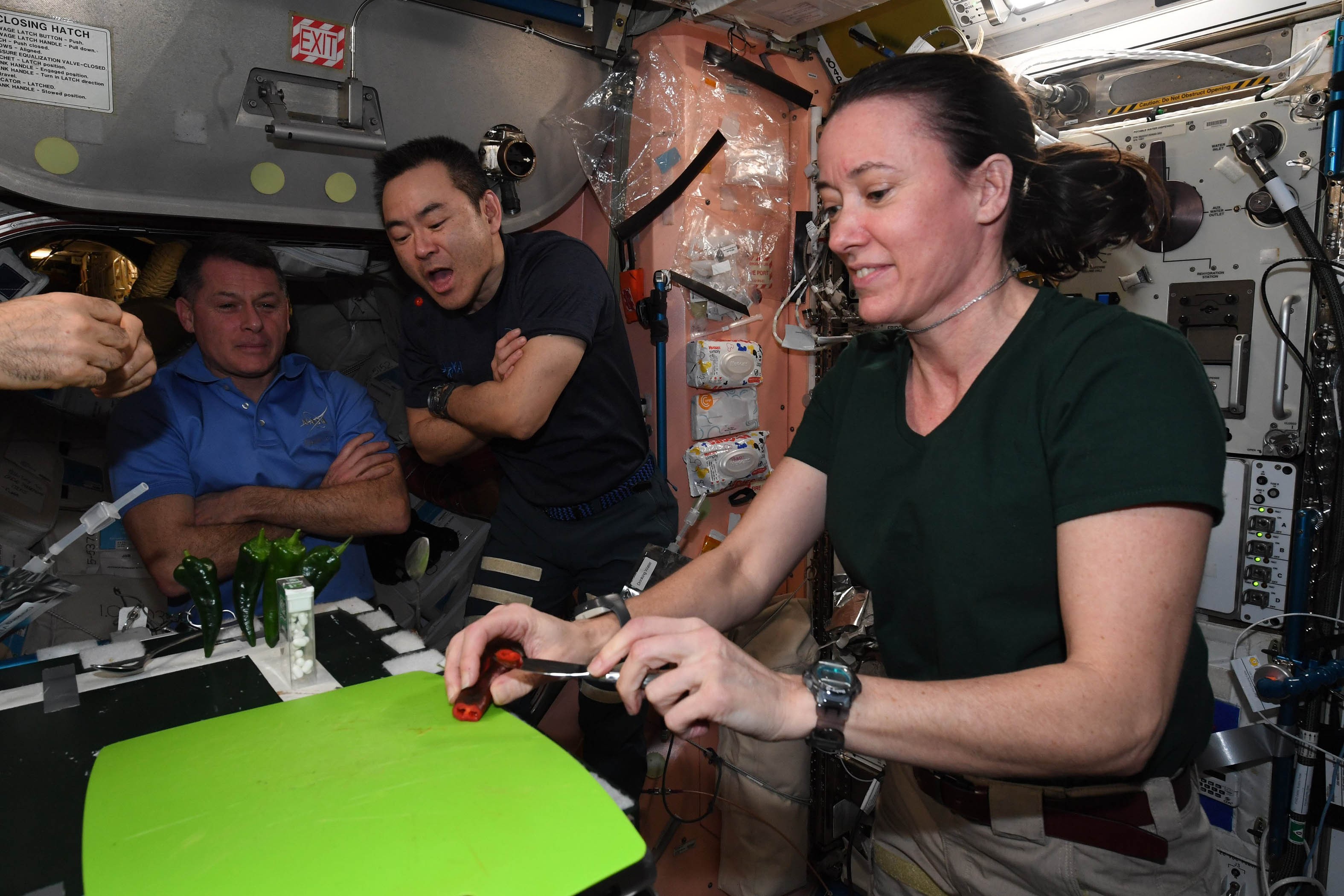 FOTO // S-a stricat toaleta din capsula SpaceX. Astronauții NASA sunt nevoiți să poarte scutece