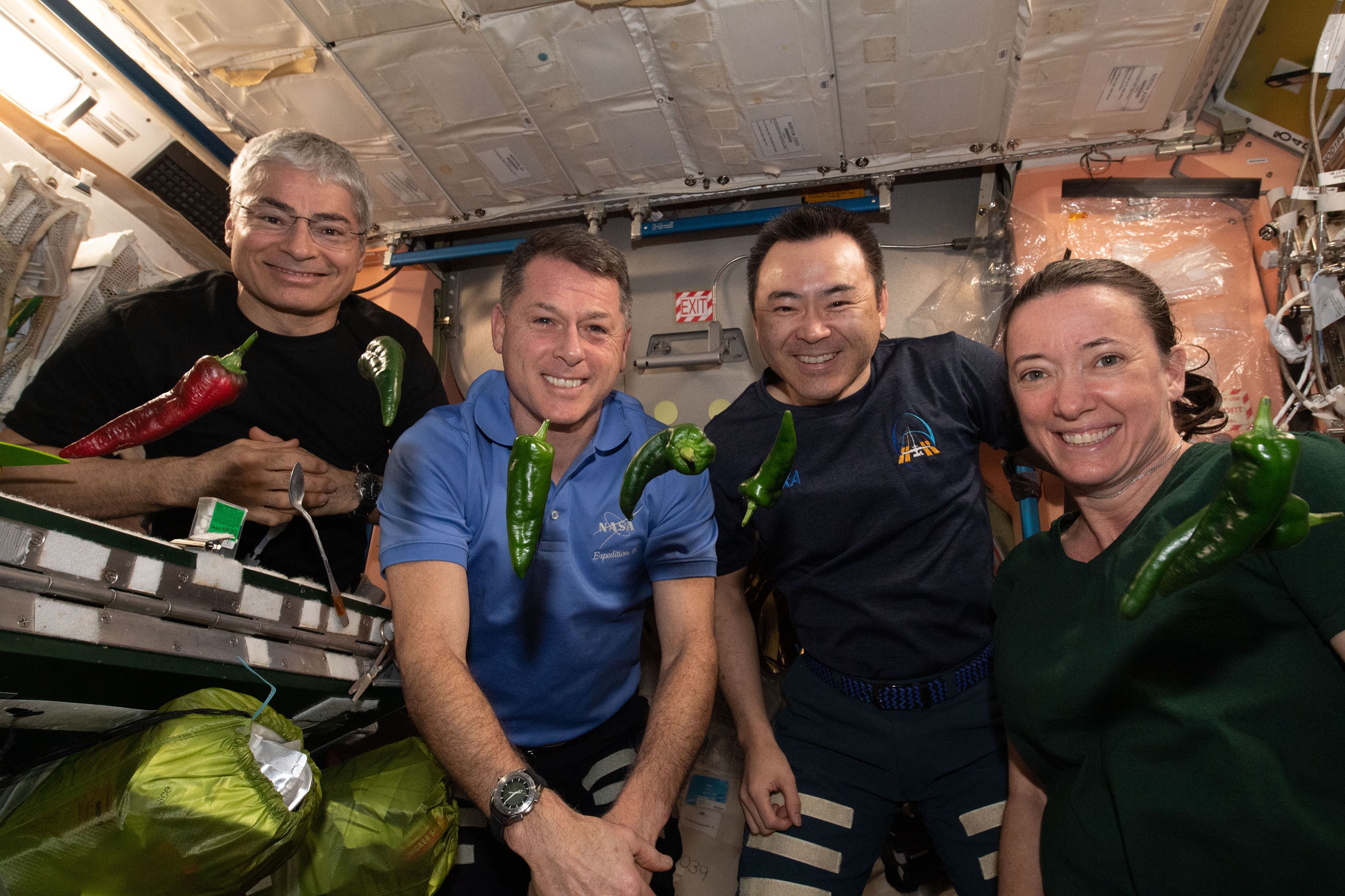 FOTO // S-a stricat toaleta din capsula SpaceX. Astronauții NASA sunt nevoiți să poarte scutece