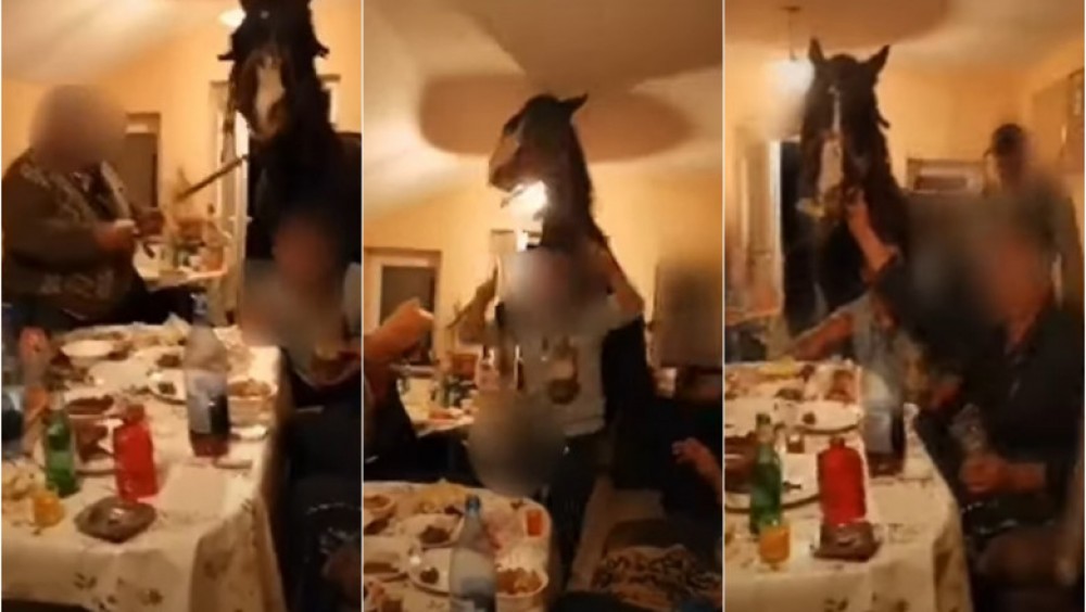 VIDEO // Cu calul la masă! Opt bărbați amendați după ce s-au filmat cu animalul în sufragerie