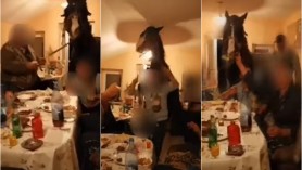 VIDEO // Cu calul la masă! Opt bărbați amendați după ce s-au filmat cu animalul în sufragerie
