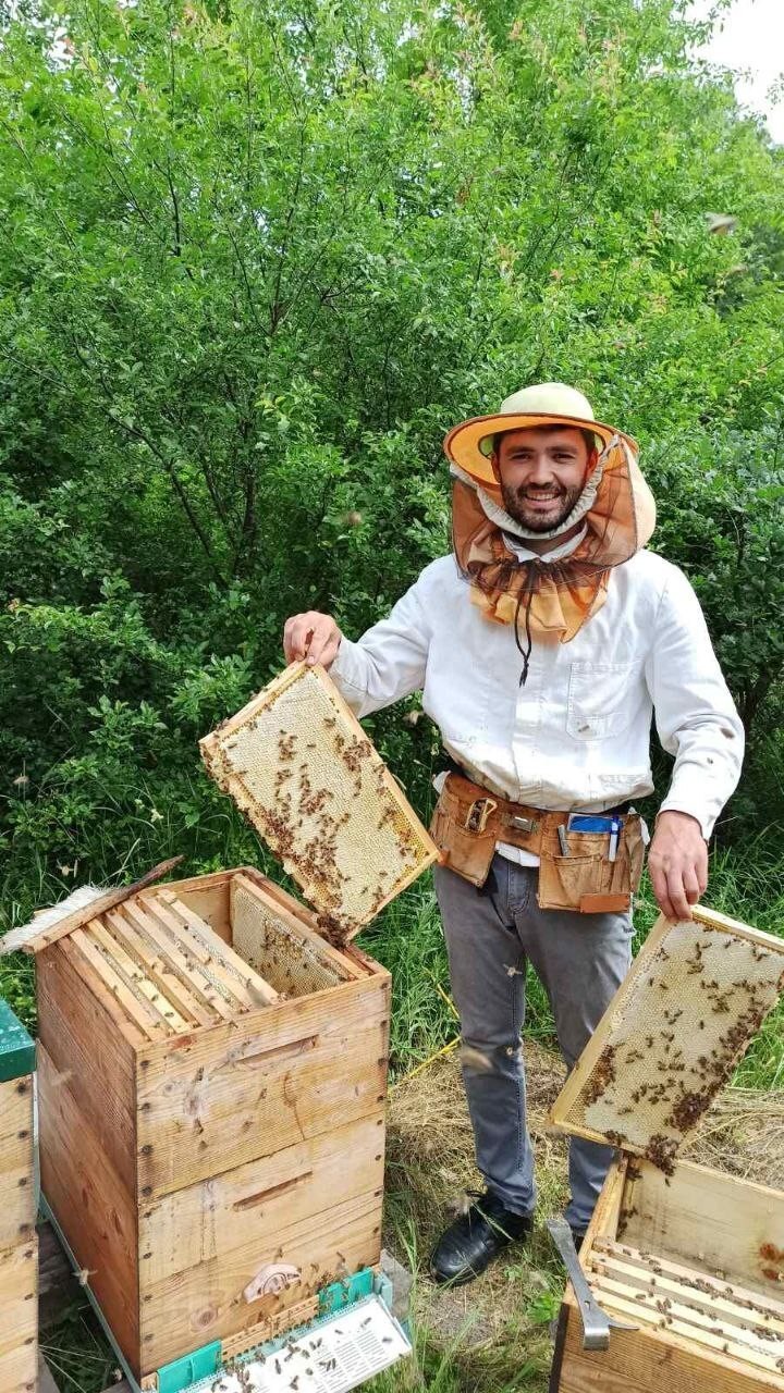 Peste 90% din mierea produsă în Republica Moldova este vândută pe piața europeană